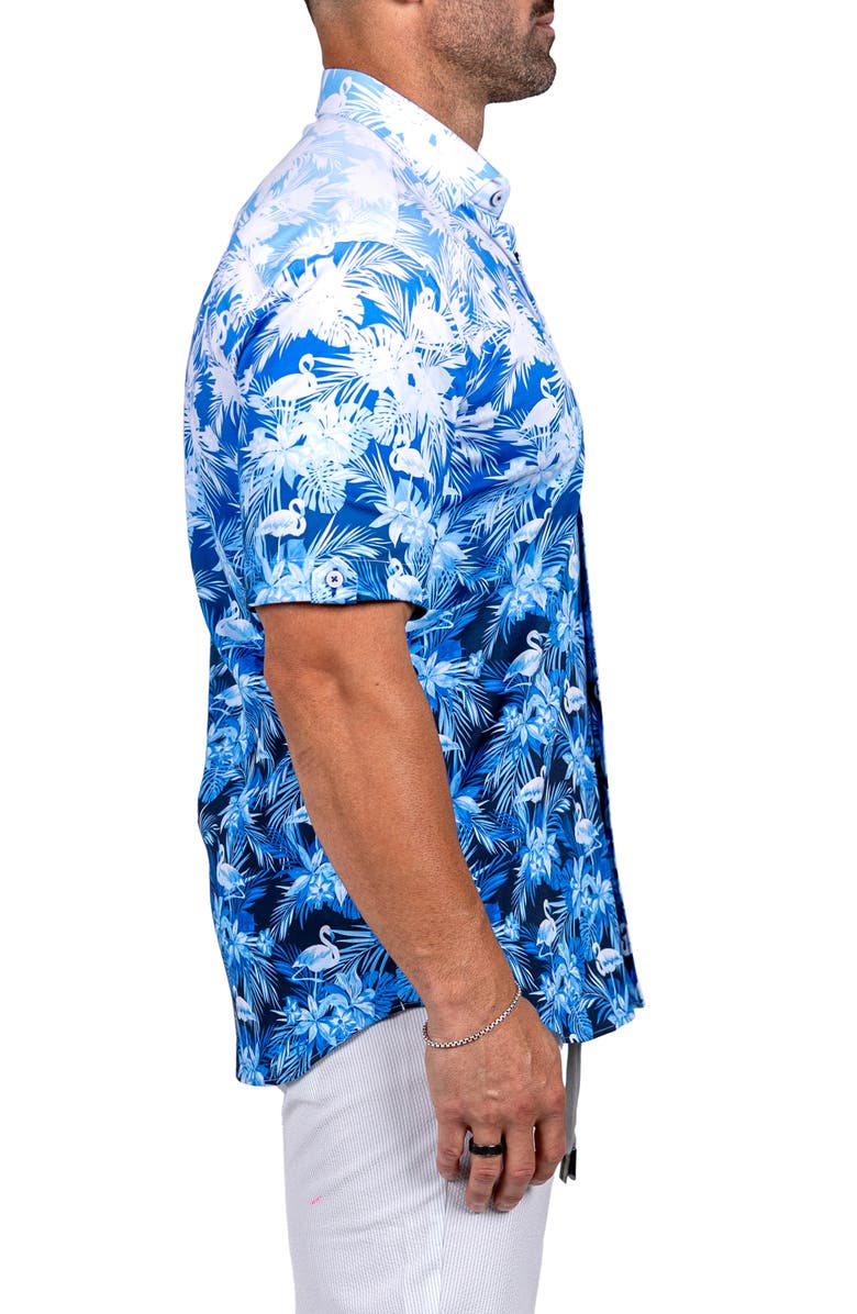 Maceoo Galileo Marthy Short Sleeve Button-Up Shirt, Alternate, color,