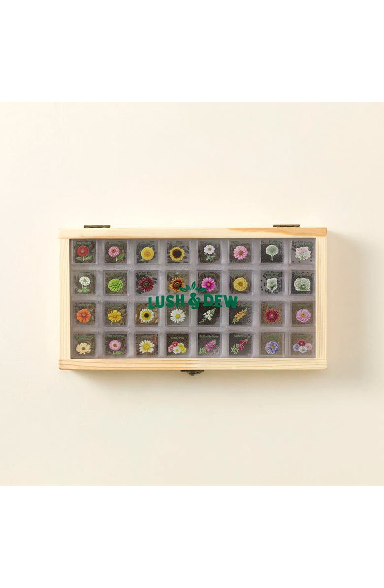 Uncommon Goods Endless Bouquets Gardener's Seed Bank Set, Main, color, Multicolor Flowers