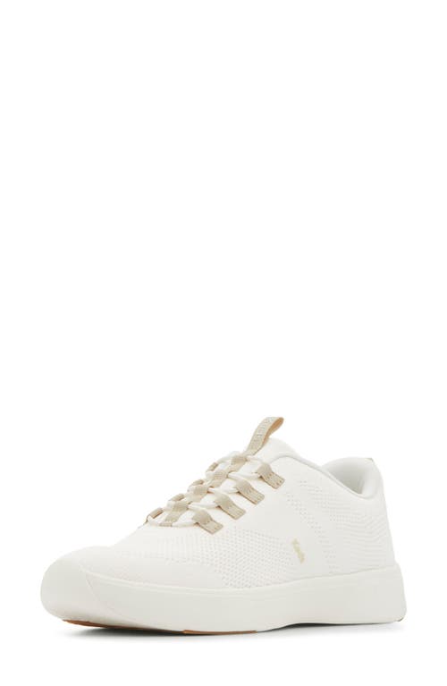 Keds ® Bliss Sneaker In White/oatmeal