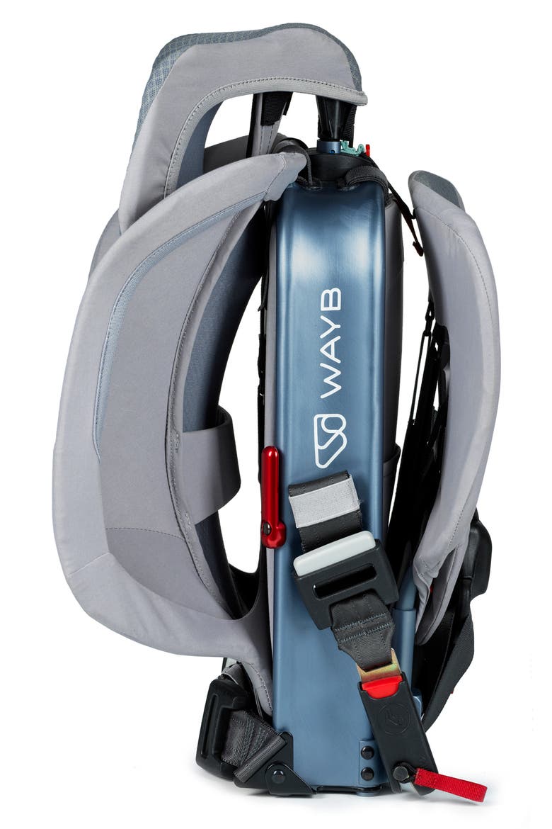 Pico Forward Facing Car Seat, Alternate, color, OCEAN