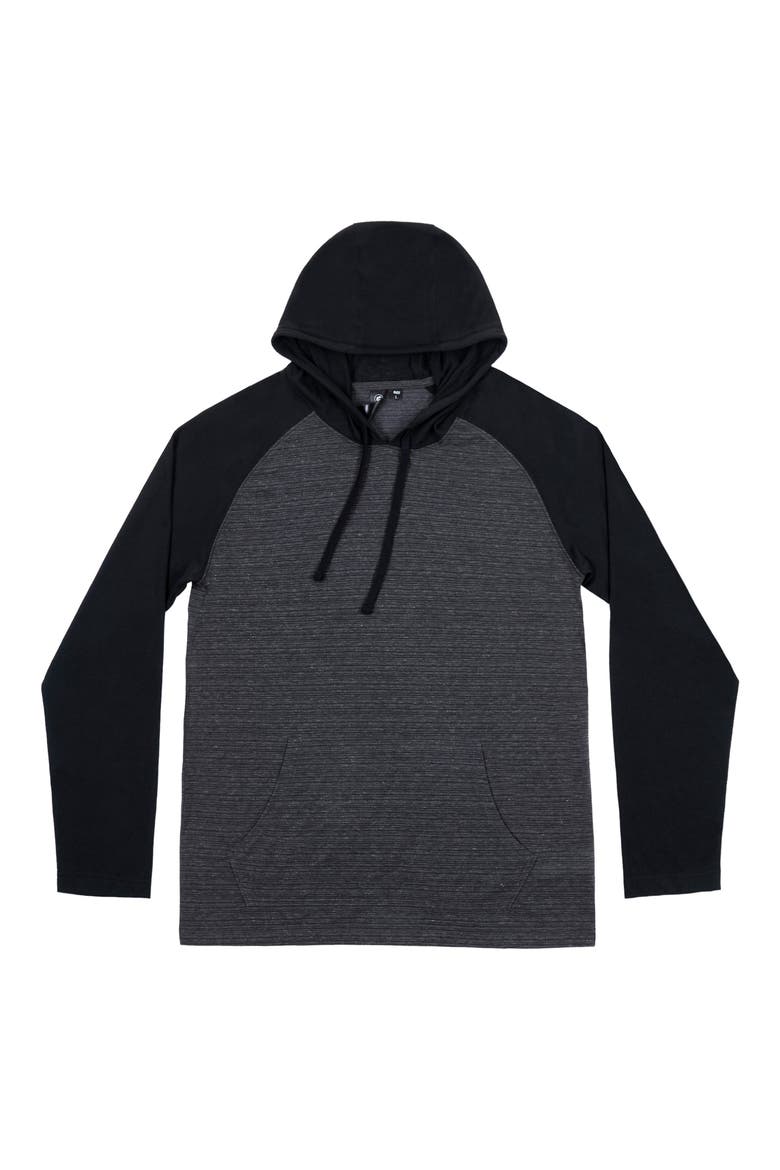 Colorblock Raglan Sleeve Hoodie, Alternate, color, CARBON