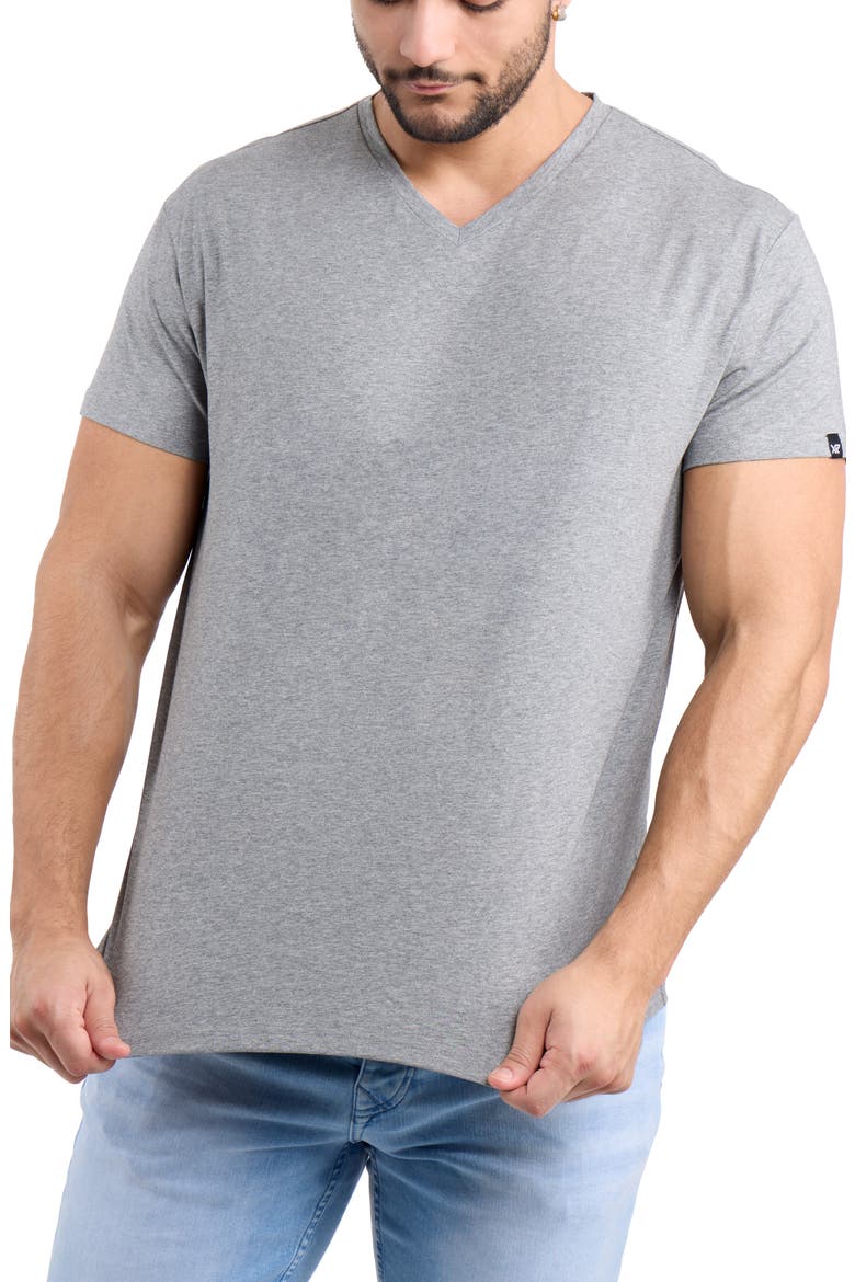 V-Neck Flex T-Shirt, Alternate, color, OATMEAL