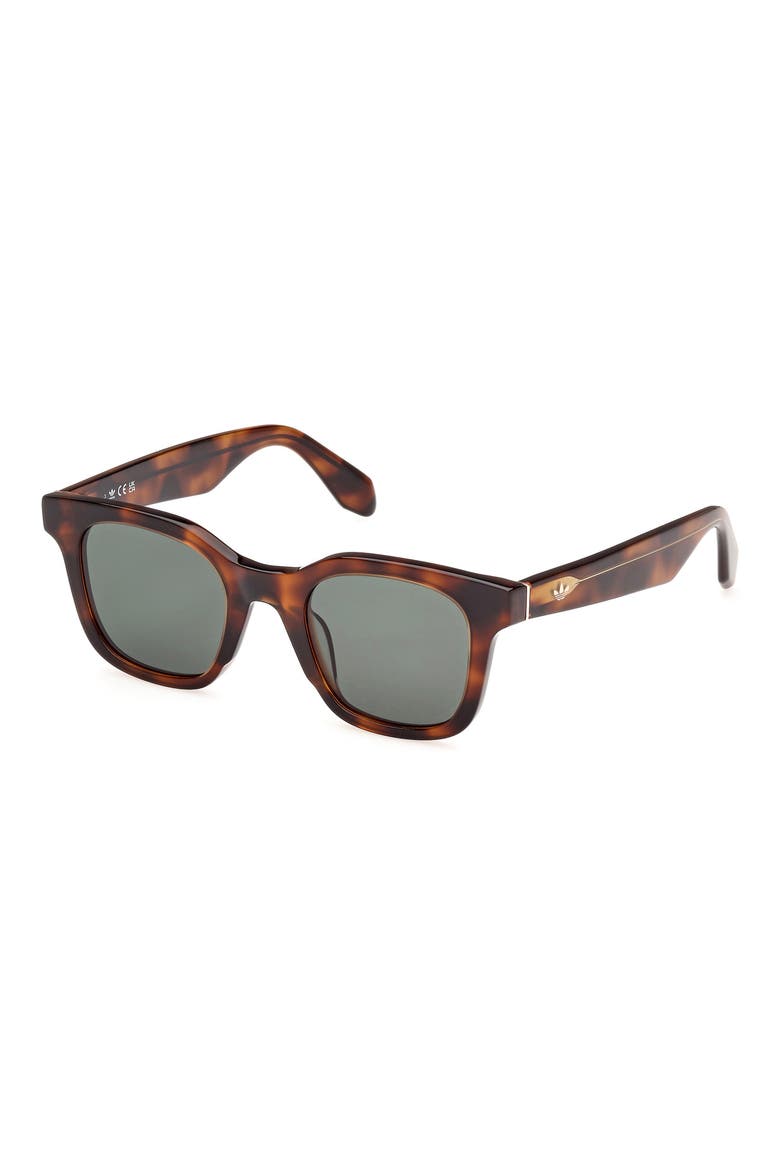 47MM Round Sunglasses, Alternate, color, DARK HAVANA / GREEN
