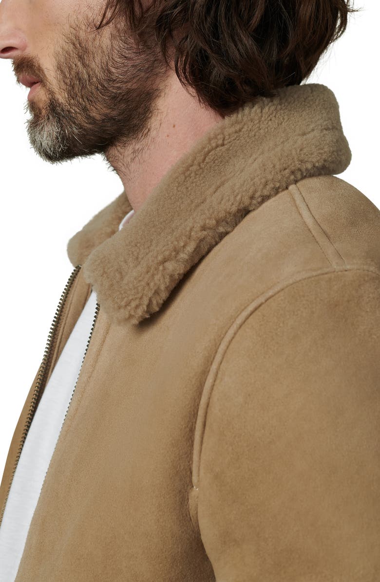 Joe's Genuine Shearling Trim Suede Flight Jacket, Alternate, color, Mushroom