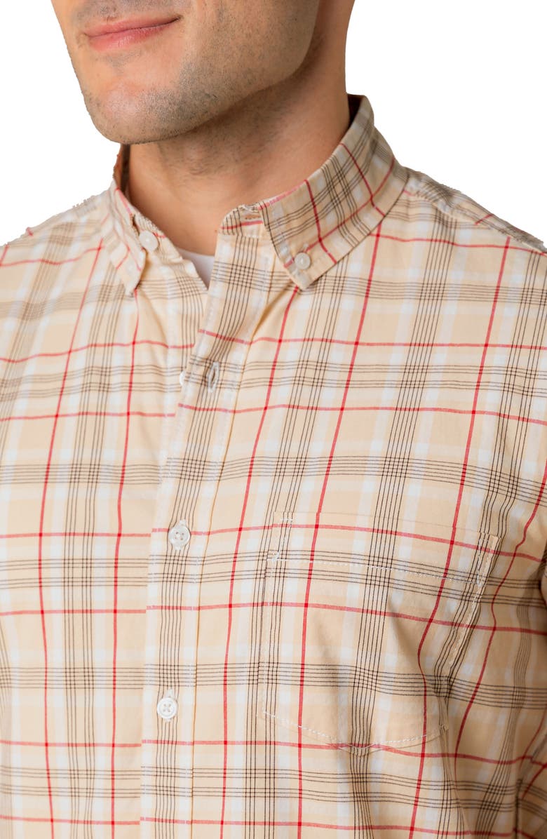 Hope & Henry Organic Long Sleeve Stretch Poplin Button Down Shirt, Alternate, color, Fireside Plaid