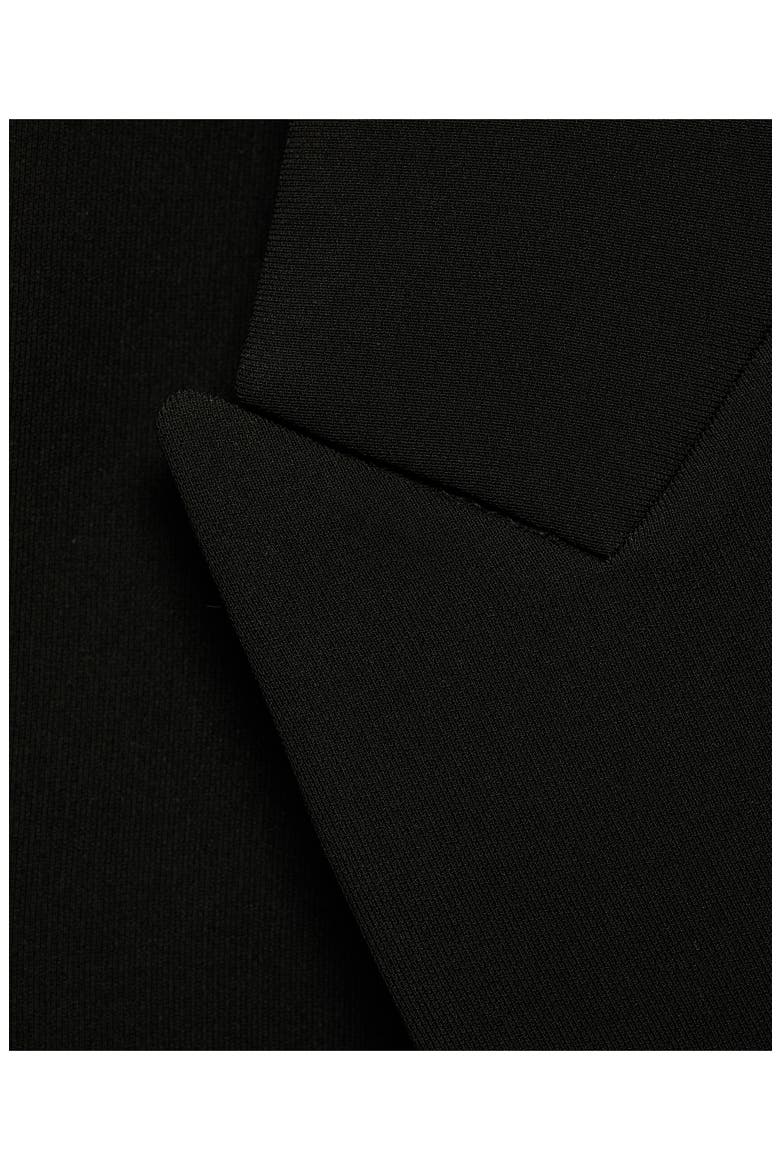 Iguana Double Breasted Blazer, Alternate, color, BLACK