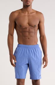 Nike 9" Volley Swim Trunks