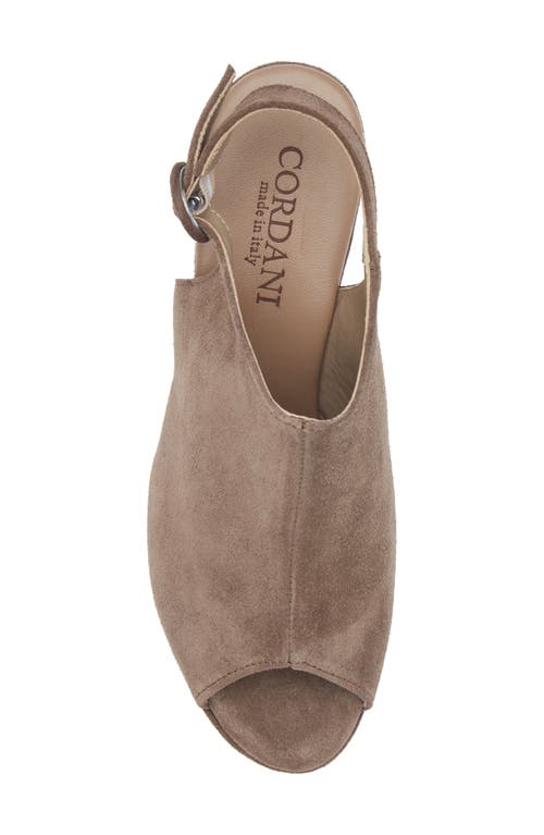 Cordani Tess Slingback Platform Sandal In Brown