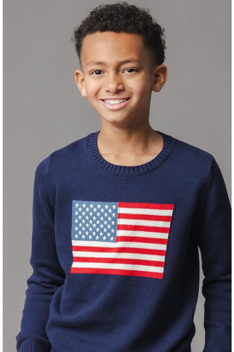 Kids' Organic Crew Neck Flag Sweater, Alternate, color, Navy Flag
