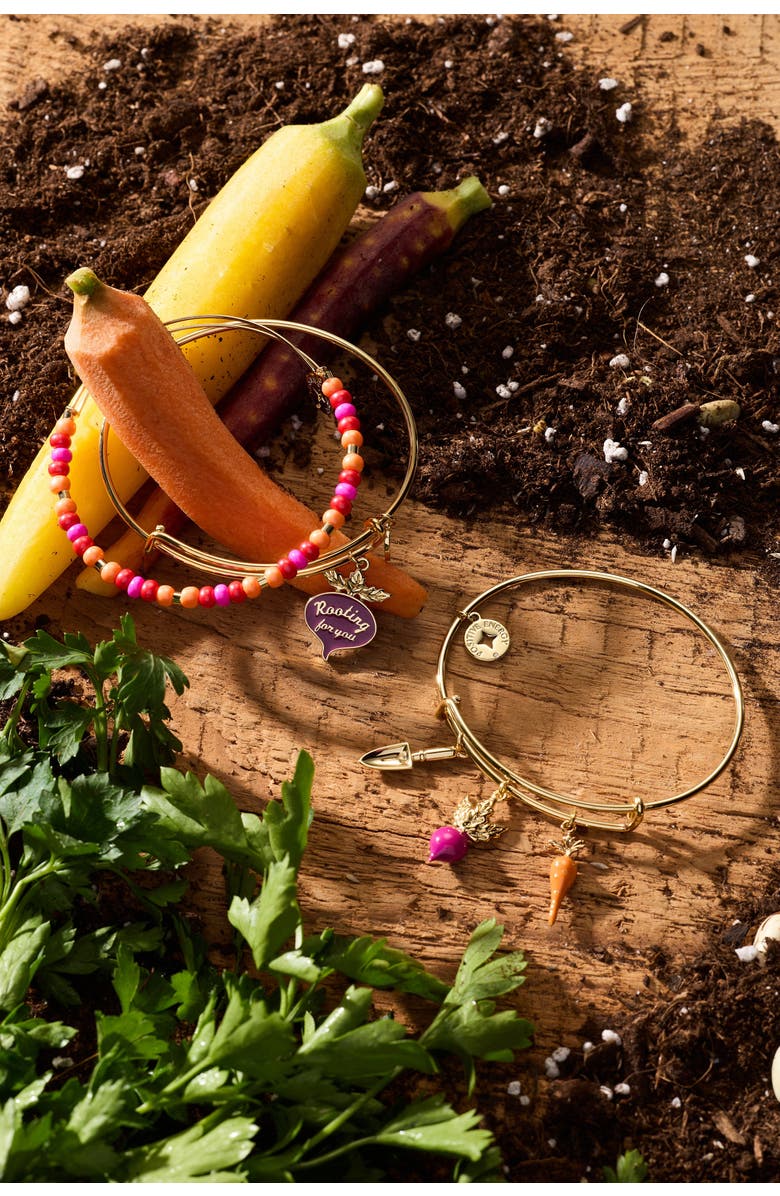 Alex and Ani Farmers' Market Multi Charm Bangle, Alternate, color, 