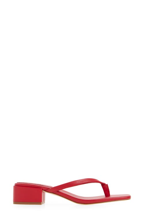 Steve Madden Caribbean Flip Flop In Red
