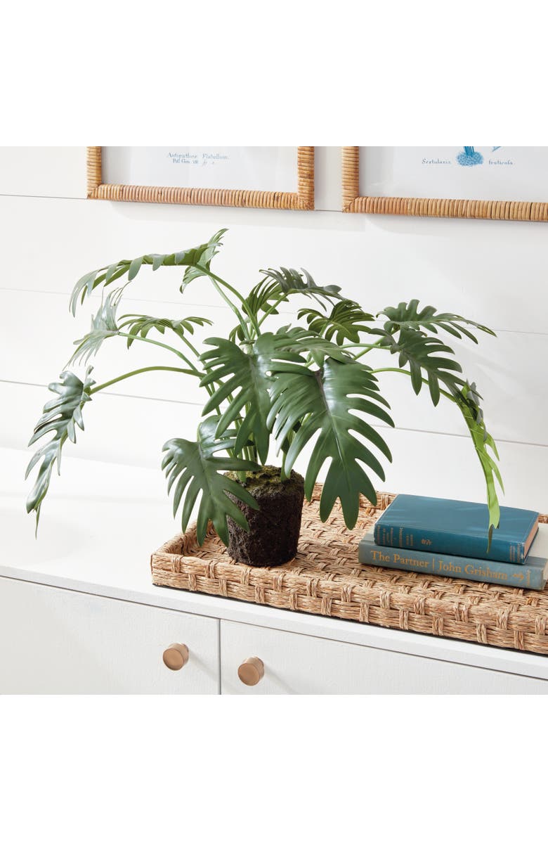 Napa Home & Garden Split Leaf Selloum Drop-In 22.5", Alternate, color, Green