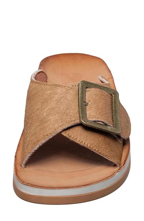 Antelope Farley Genuine Calf Hair Slide Sandal In Brown