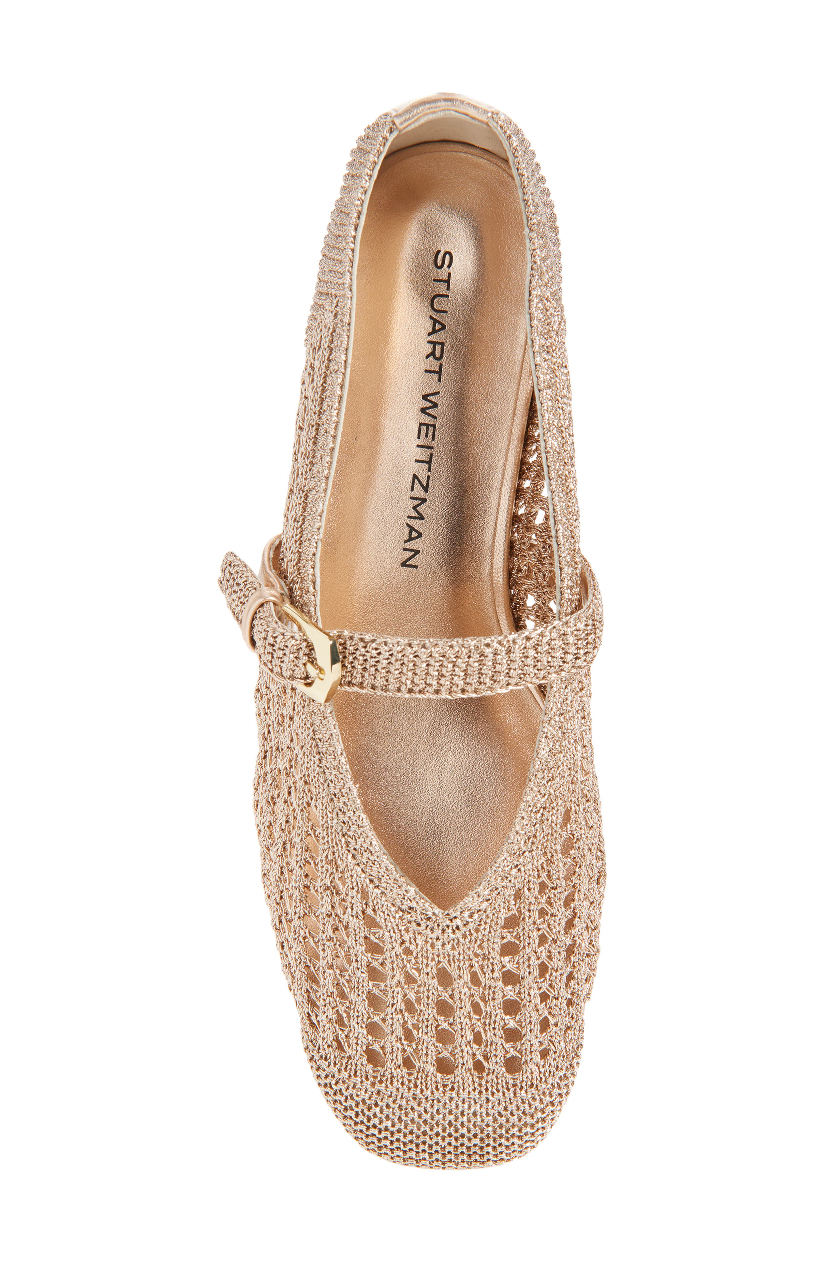 Stuart Weitzman Leora Metallic Mary Jane Flat, Alternate, color, Light Gold