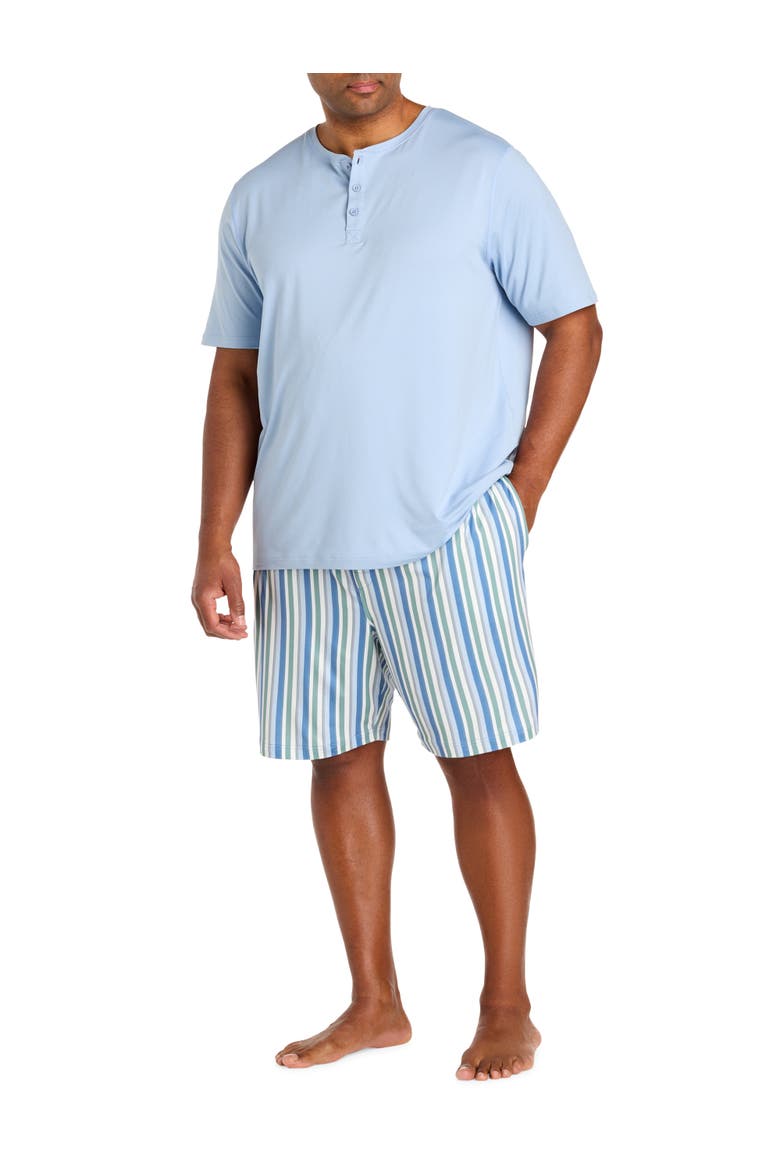 Big & Tall Performance Striped Lounge Shorts, Alternate, color, MULTI