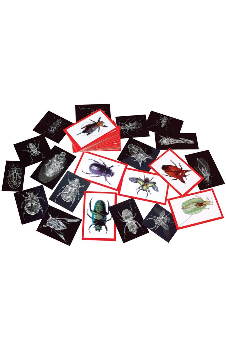 Roylco Insect X-Ray and Picture Cards, Main, color, Multicolor