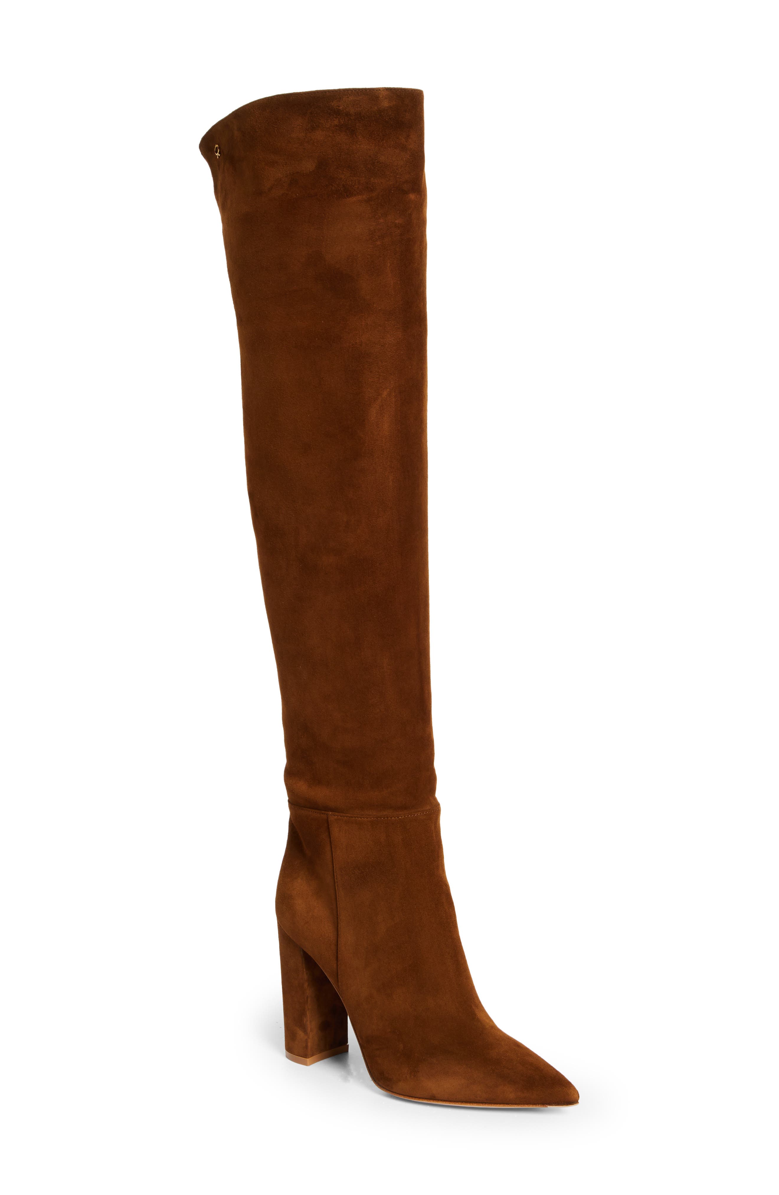 Gianvito Rossi Piper Pointed Toe Over the Knee Boot, Main, color, 