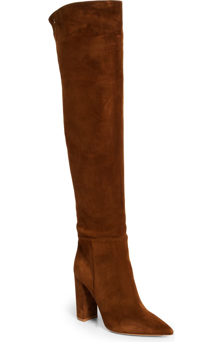 Gianvito Rossi Piper Pointed Toe Over the Knee Boot, Main, color,