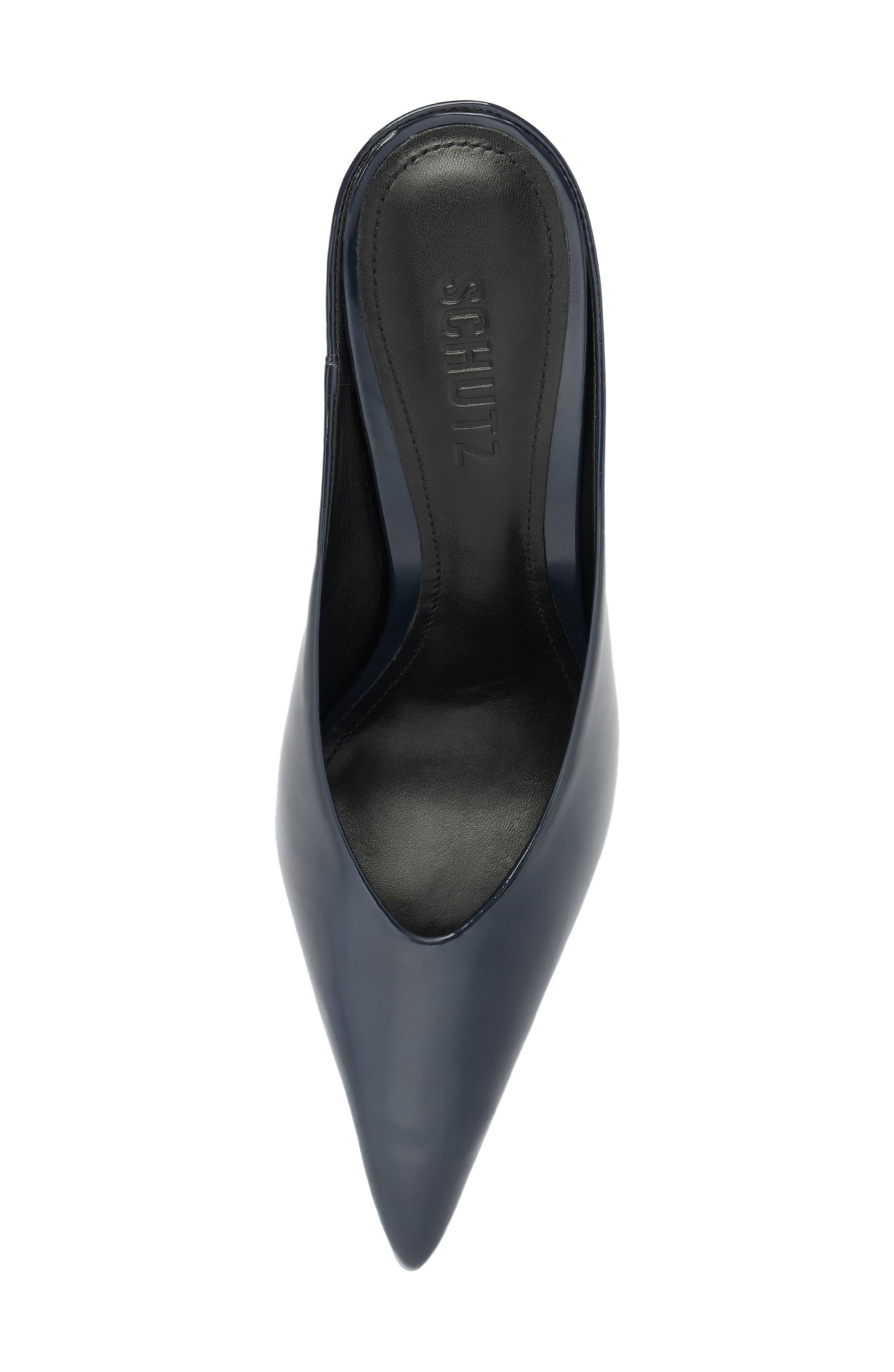 Schutz Loren Pointed Toe Pump, Alternate, color, Oxford Blue