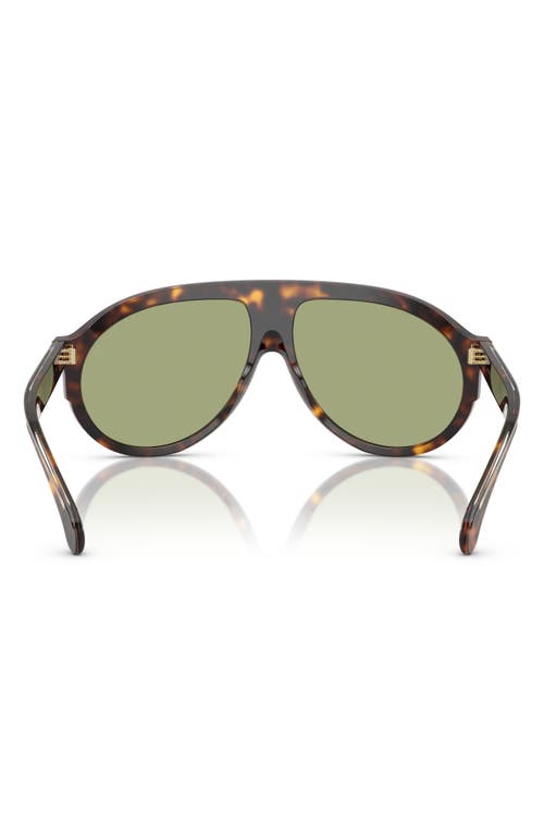 Moncler Fhaite Sunglasses In Dark Tortoise