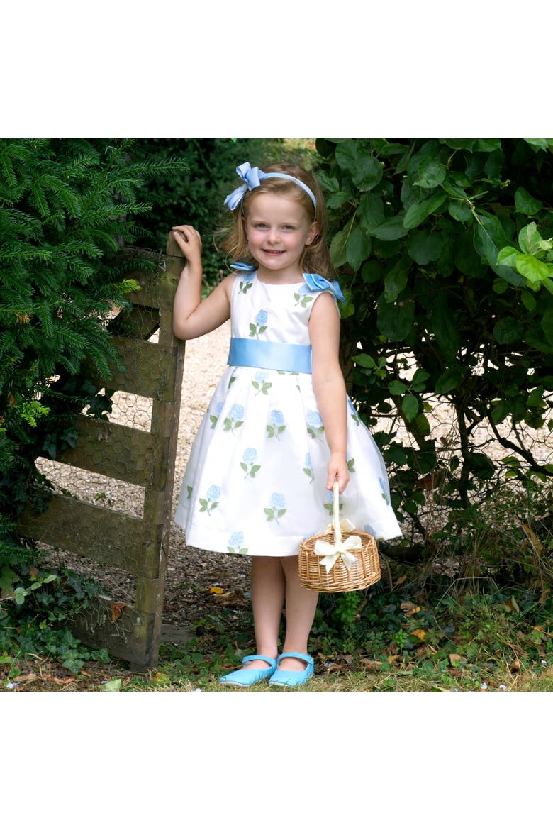 Rose Embroidered Organza Dress, Alternate, color, Blue