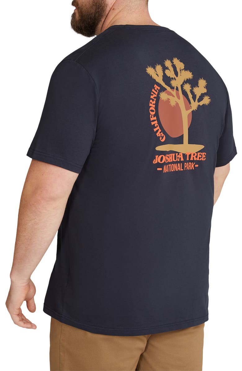 Johnny Bigg Joshua Tree Organic Cotton Graphic T-Shirt, Alternate, color, 