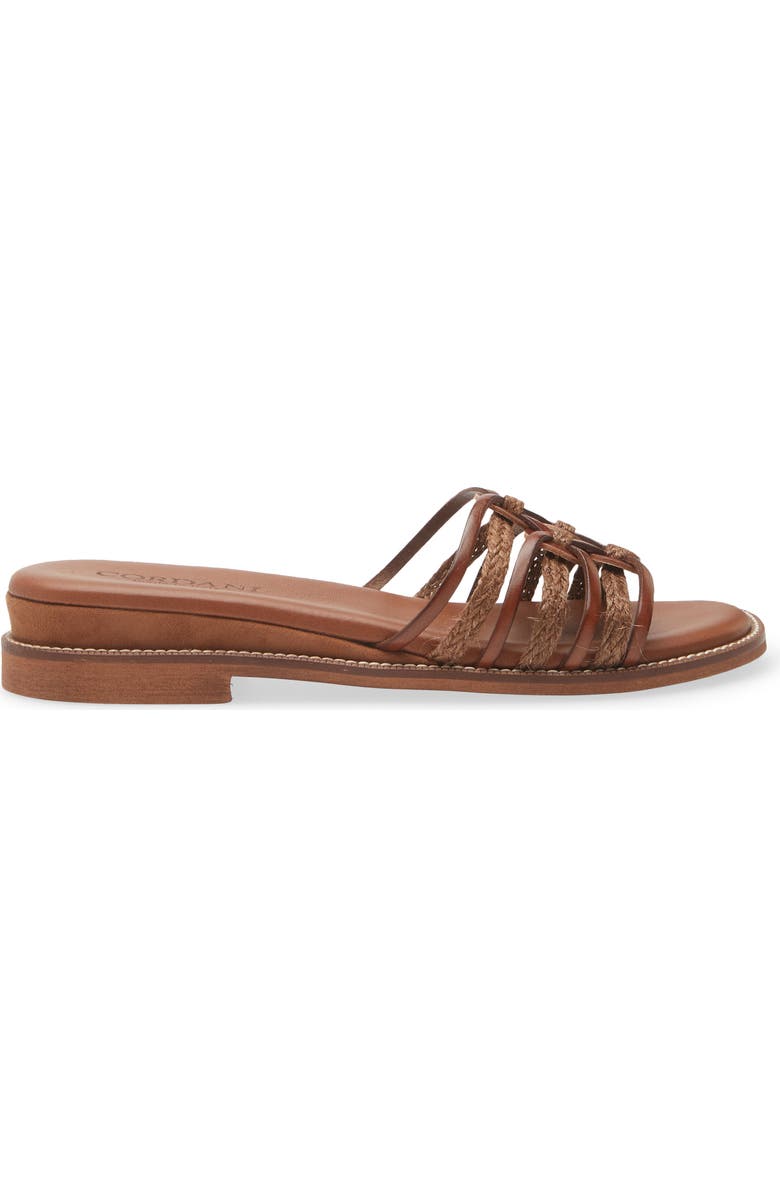 Cordani Hollace Leather & Raffia Slide Sandal, Alternate, color, Cuoio Leather