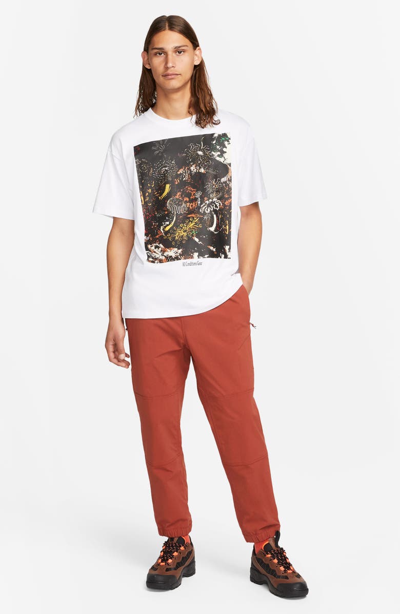 Nike ACG Max90 Tidal Pool Graphic Tee, Alternate, color, 