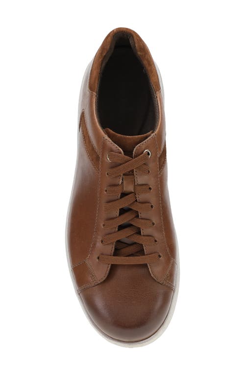 Dansko Trevor Sneaker In Tan