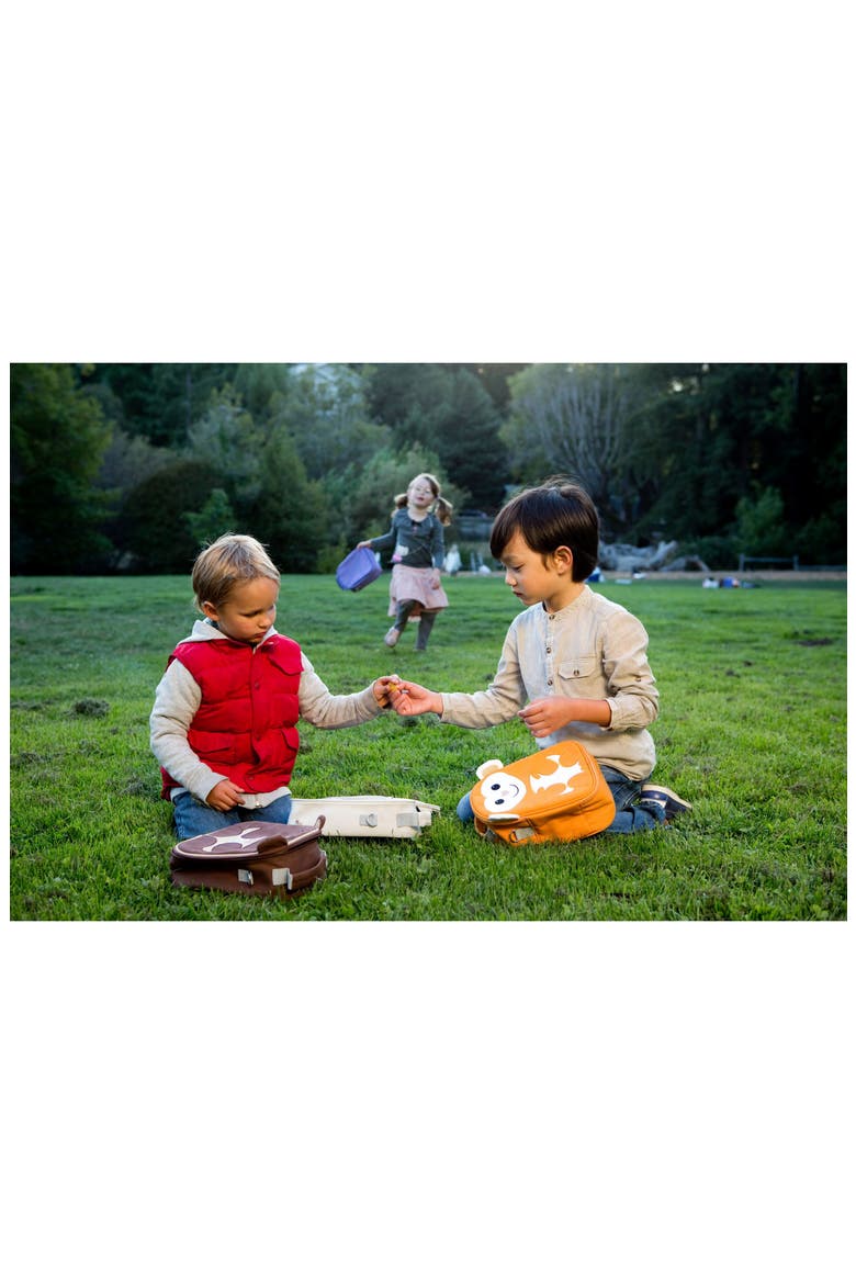 Water Resistant Insulated Lunch Pack, Alternate, color, CUBBY