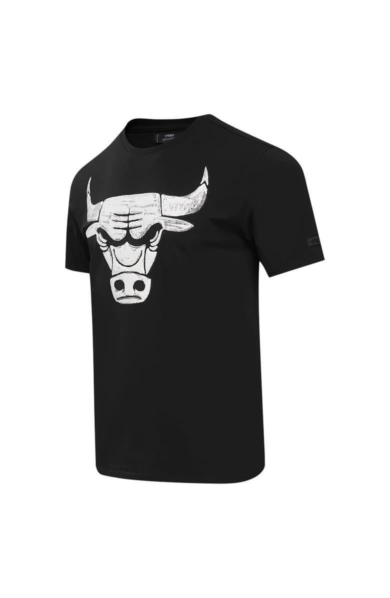 PRO STANDARD Men's Pro Standard Black Chicago Bulls T-Shirt, Alternate, color, 
