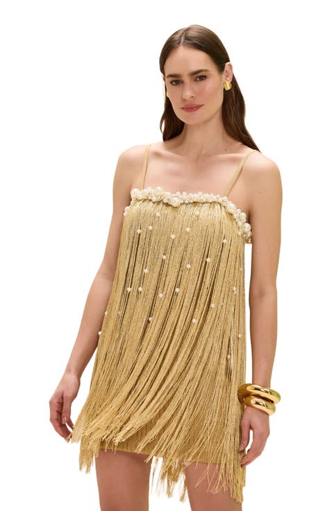 Aurea Crochet Mini Dress