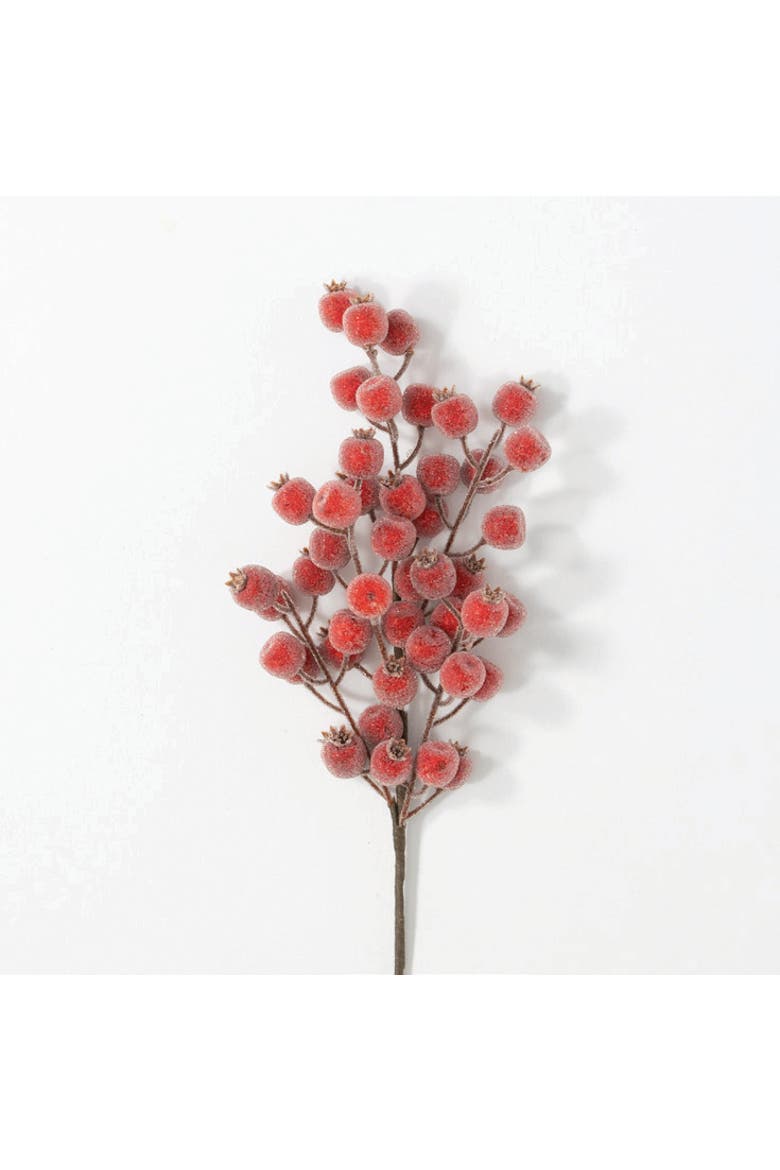 Sullivan's Christmas Berry Spray, Red Faux Floral Stem for Crafting, Weddings, Home and Holiday Decoration, 24.5 Inch, Main, color, Red