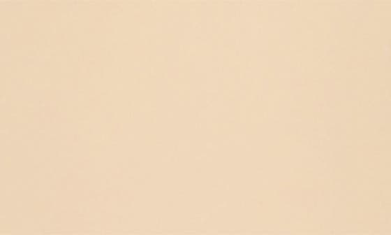 0.3 IVORY SILK