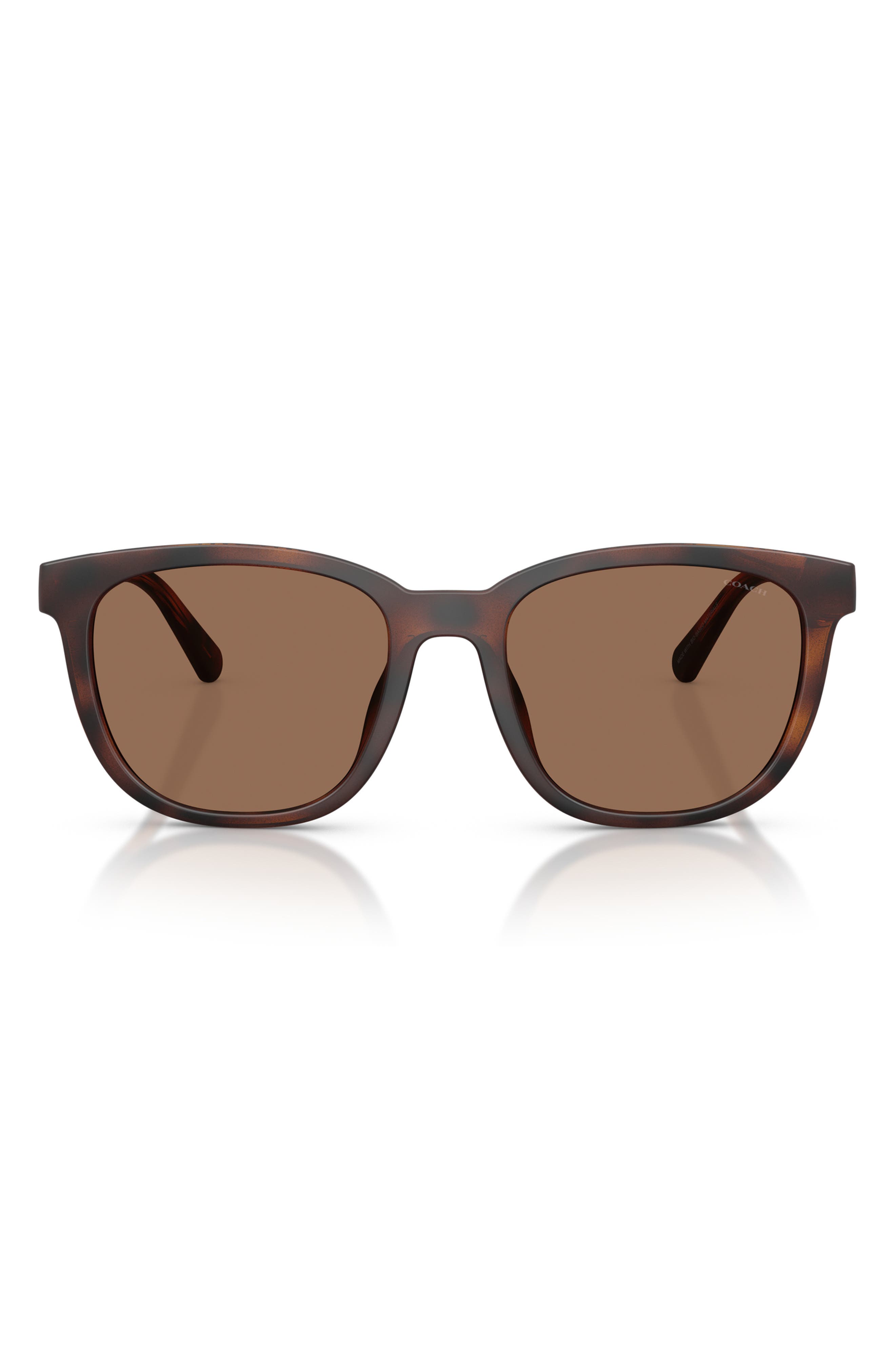 DARK TORTOISE / BROWN SOLID