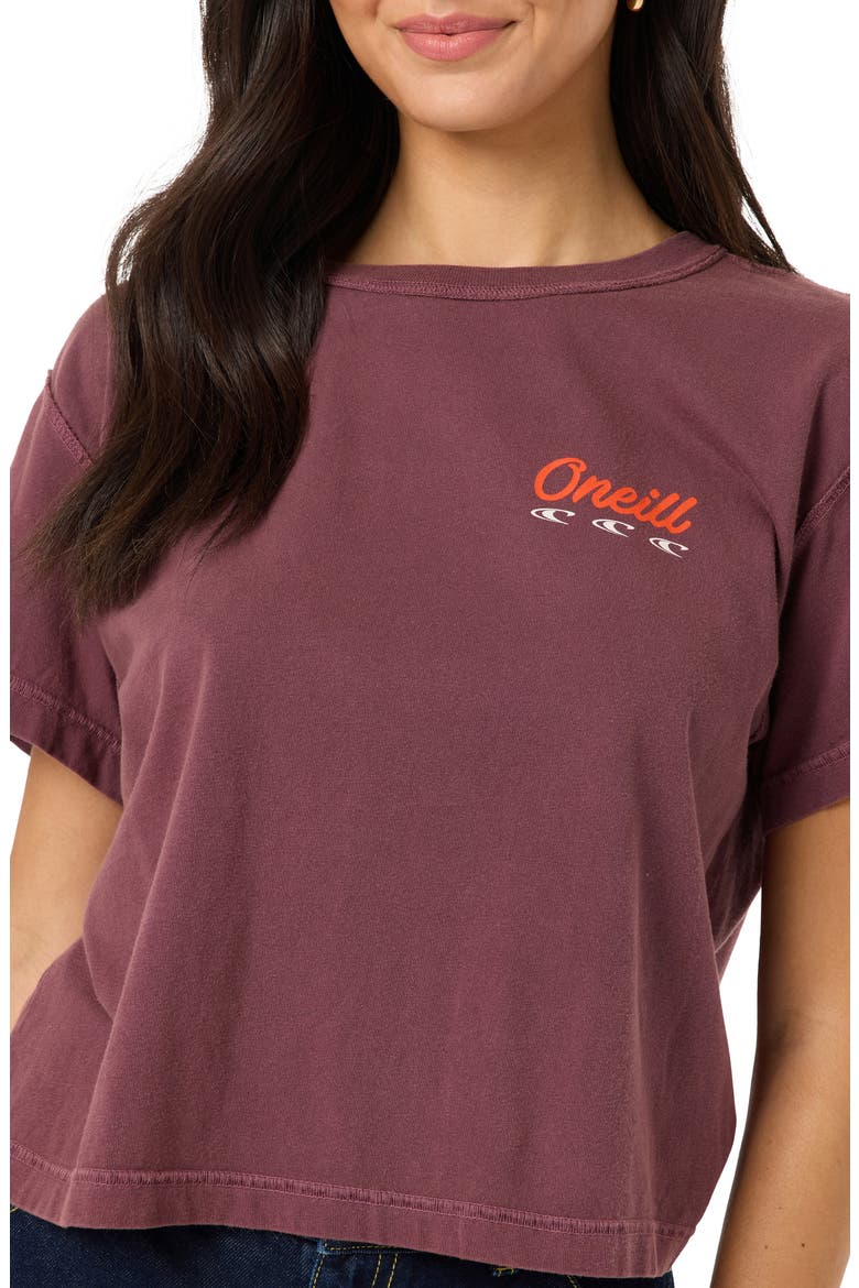 Lefty Boxy Graphic Tee, Alternate, color, FIG
