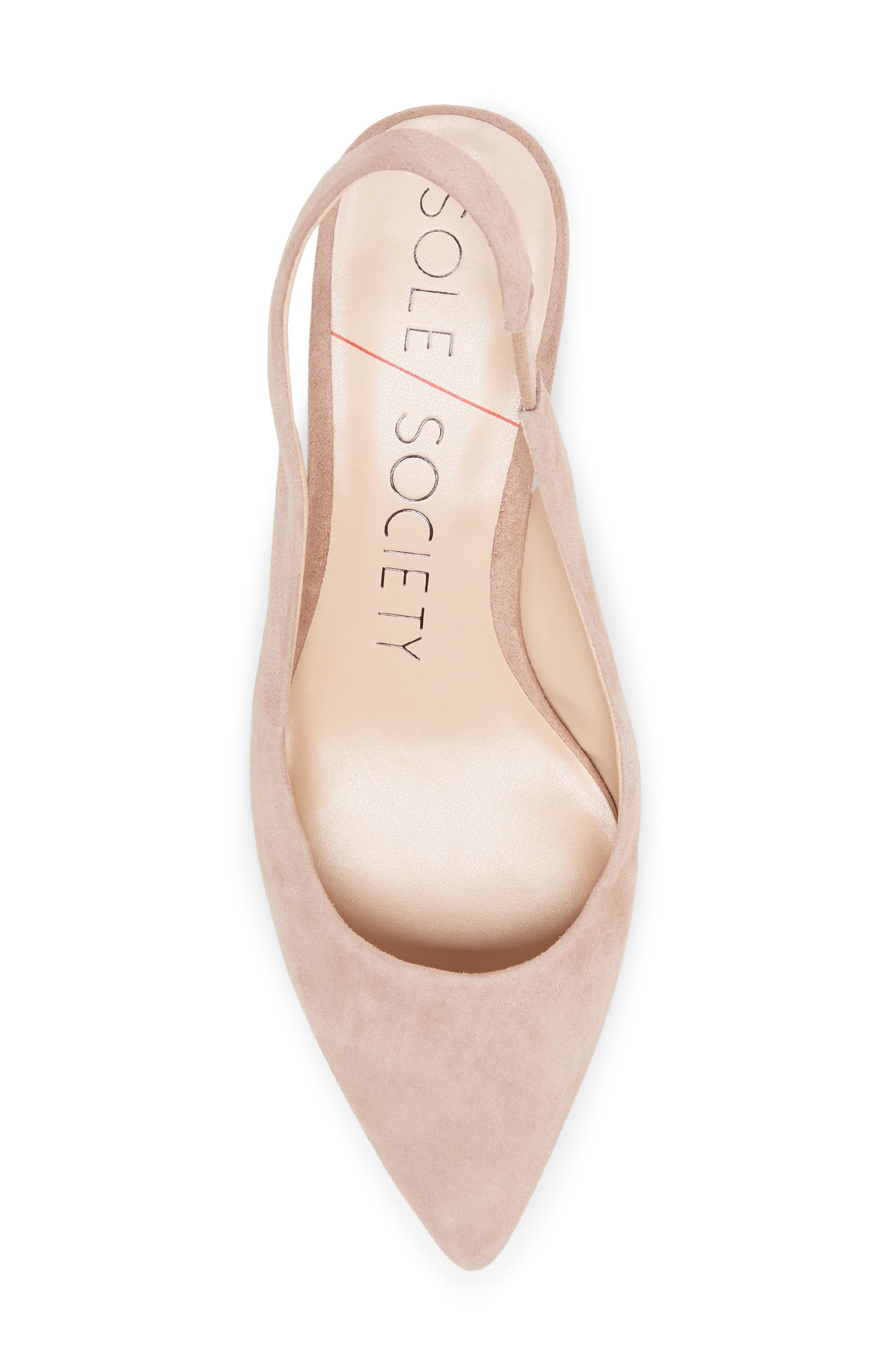 Keilinah Slingback Pointy Toe Pump, Alternate, color, DUSTY ROSE SUEDE