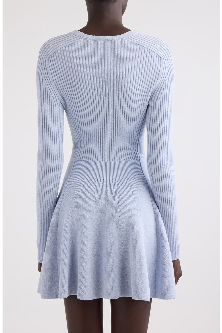 Long Sleeve Rib Sweater Dress, Alternate, color, 6AC TRANSPARENT