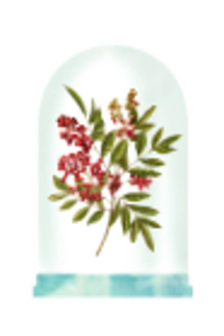 Tropicália Eau de Parfum, Alternate, color, Clear