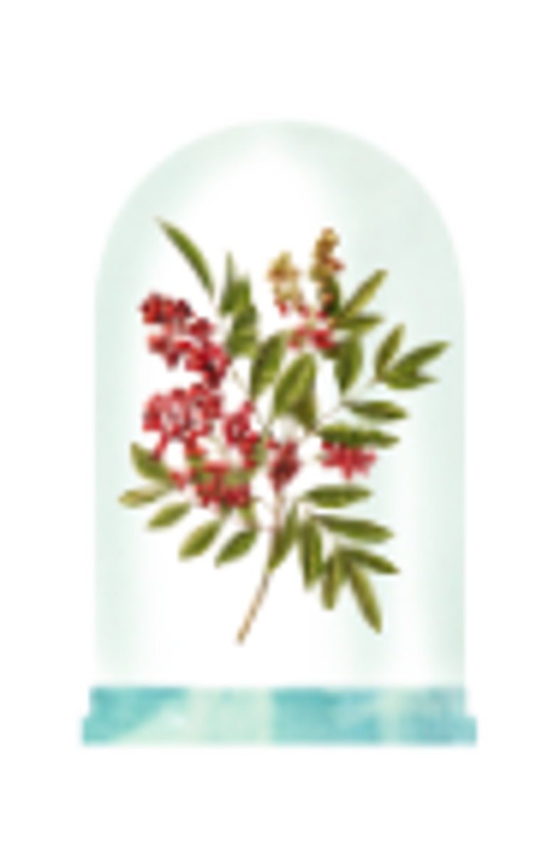 GRANADO Tropicália Eau de Parfum, Alternate, color, Clear