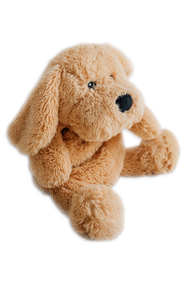 selected Charlie the Puppy Dog