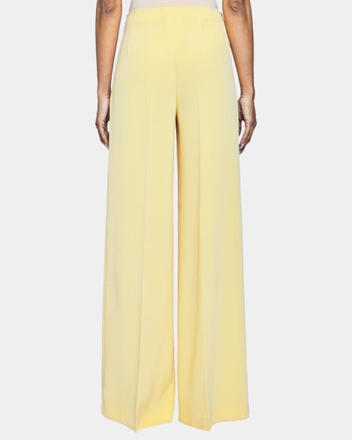 Santorelli Lily Wide Leg Pants With Slanted Side Pockets In Techno Crepe