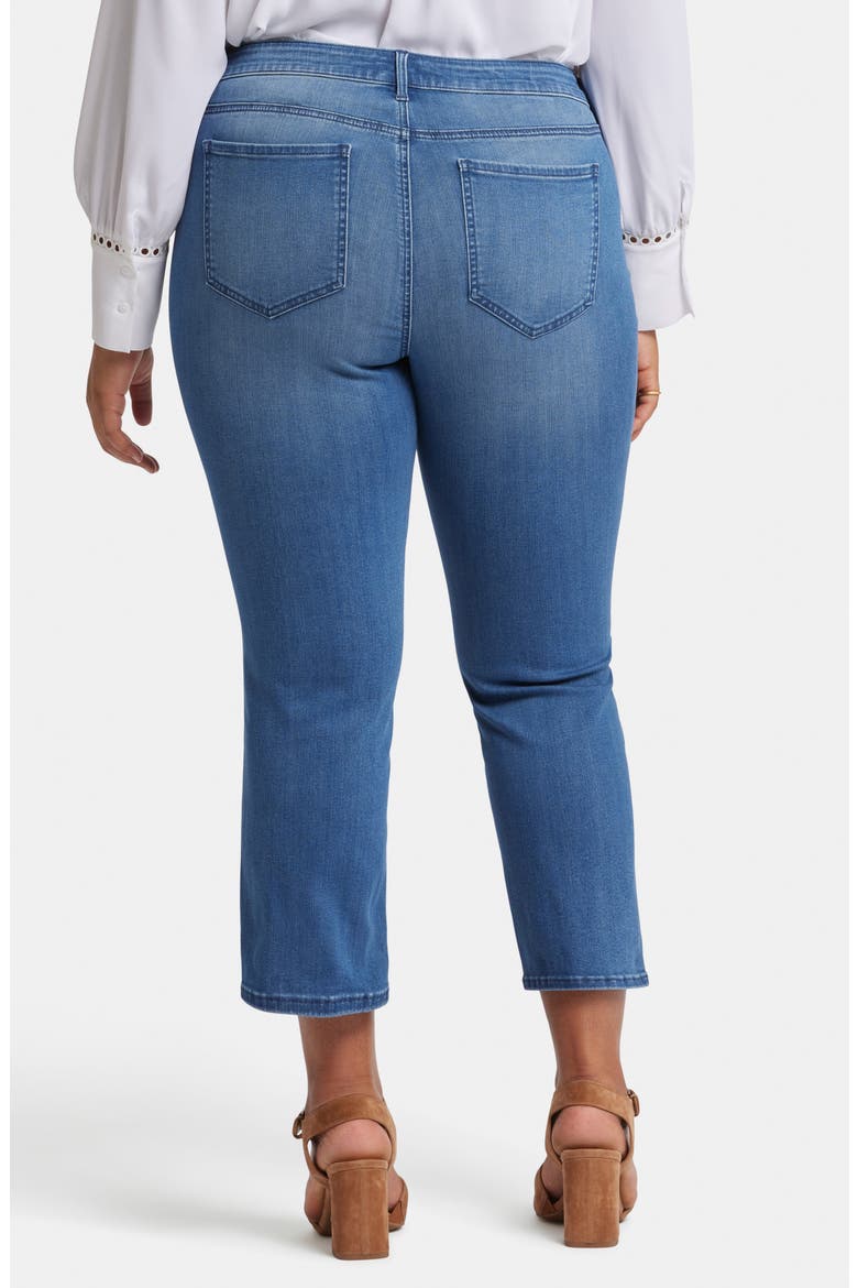 Marilyn Ankle Straight Leg Jeans, Alternate, color, BLUE ISLAND