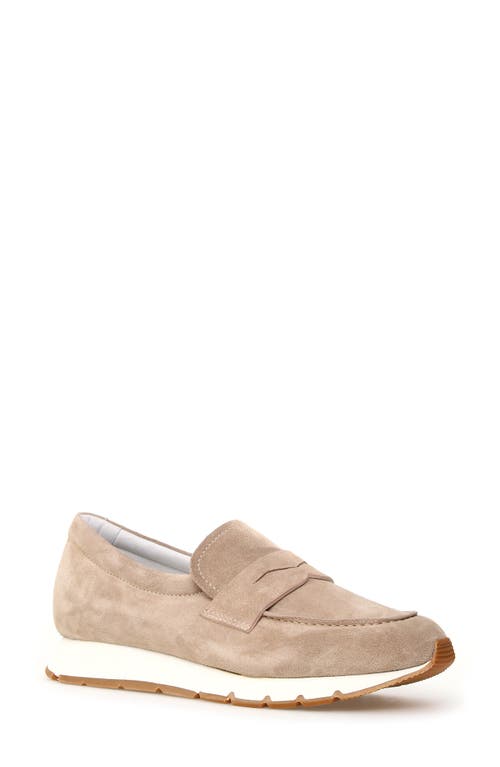 Voile Blanche Julia Hybrid Loafer Sneaker In Light Beige