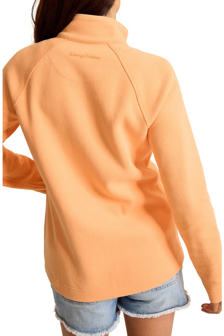 New Aruba Zip Jacket, Alternate, color, ROE