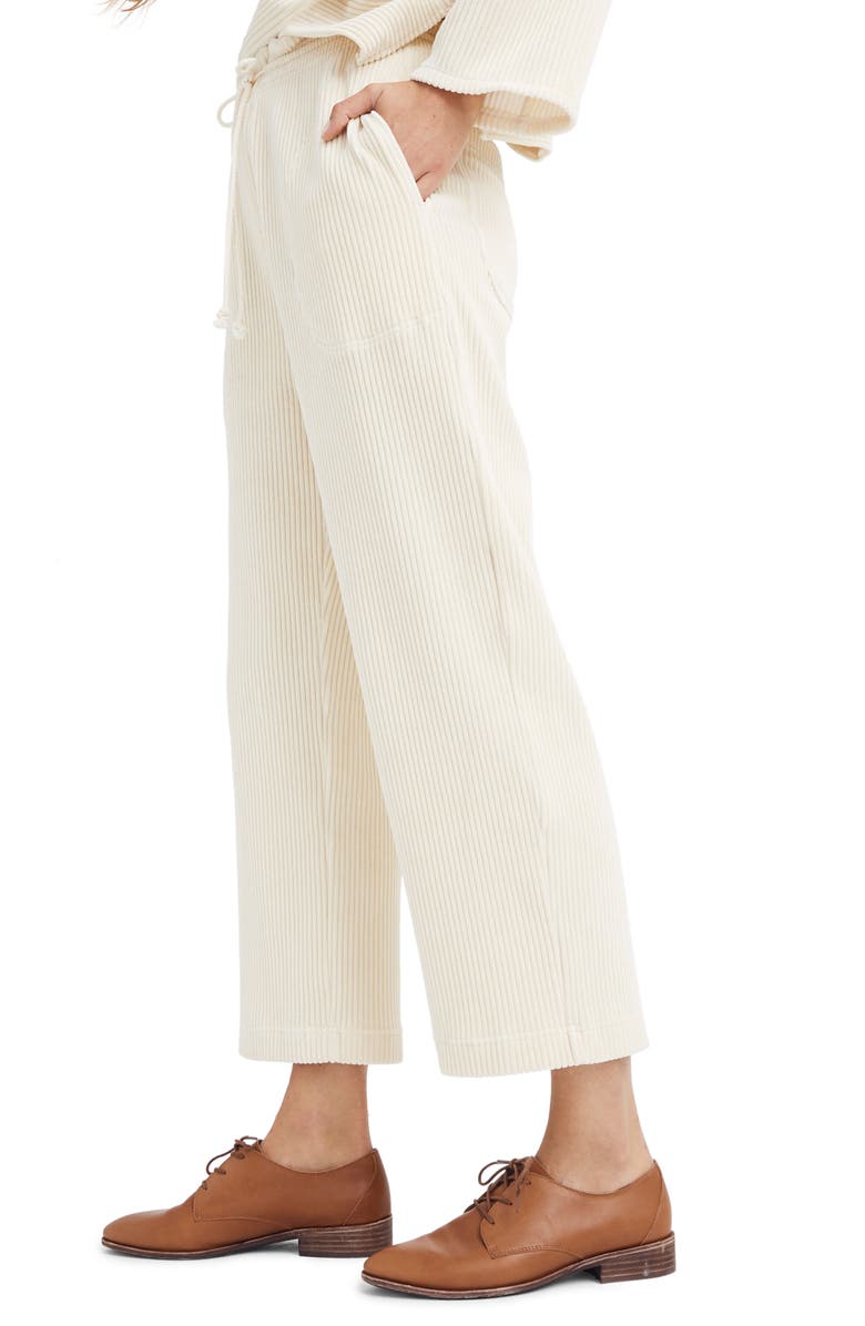Madewell Texture & Thread Velour Corduroy Pants, Alternate, color, 