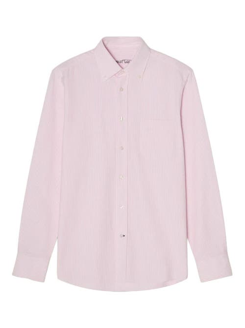 Robert Talbott Harrison Button Down Oxford Shirt In Pink