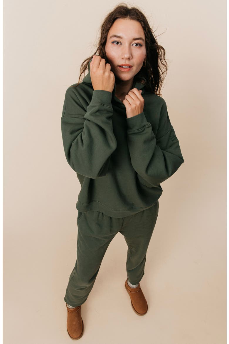 Women's Organic Cotton Teddy Oversized Hoodie, Alternate, color, Spruce
