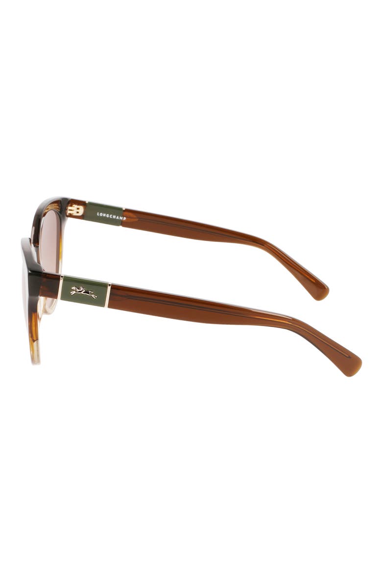 Le Pliage 53mm Oval Sunglasses, Alternate, color, STRIPED HONEY