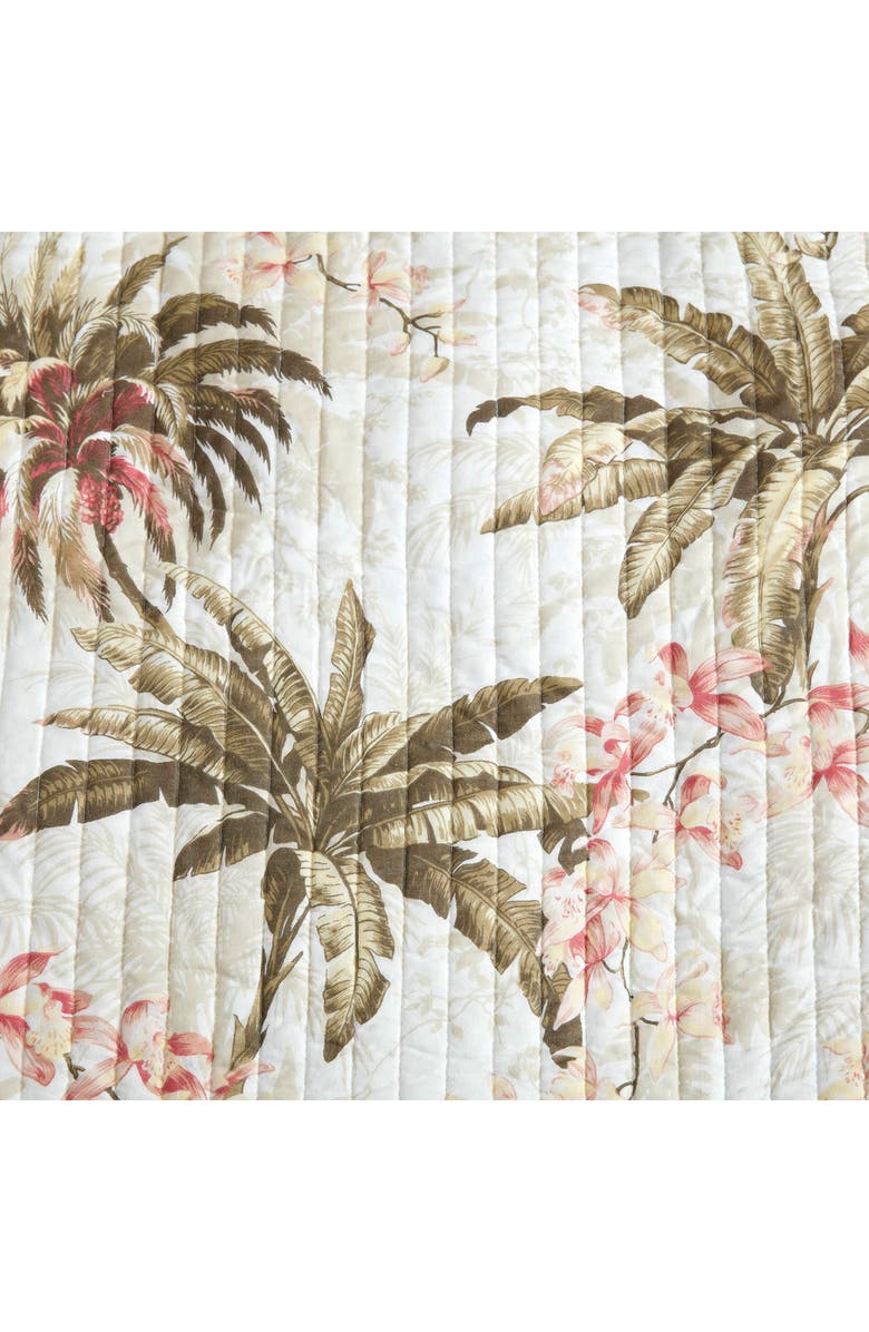Tommy Bahama Bonny Cove Cotton Quilt & Sham Set, Alternate, color, Coconut